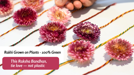 Tie Nature, Not Plastic: Celebrate Raksha Bandhan with Real Helichrysum Flower Rakhi