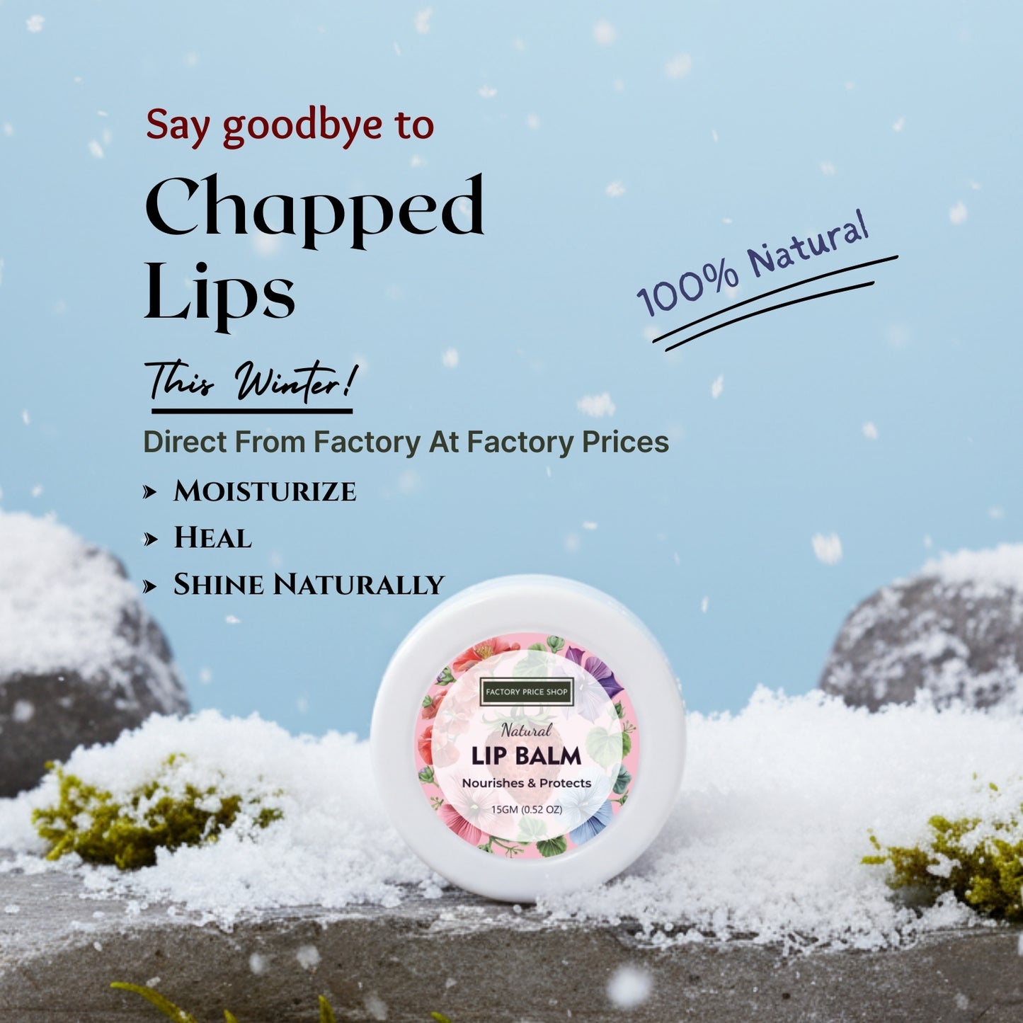 Complete Winter Care Combo