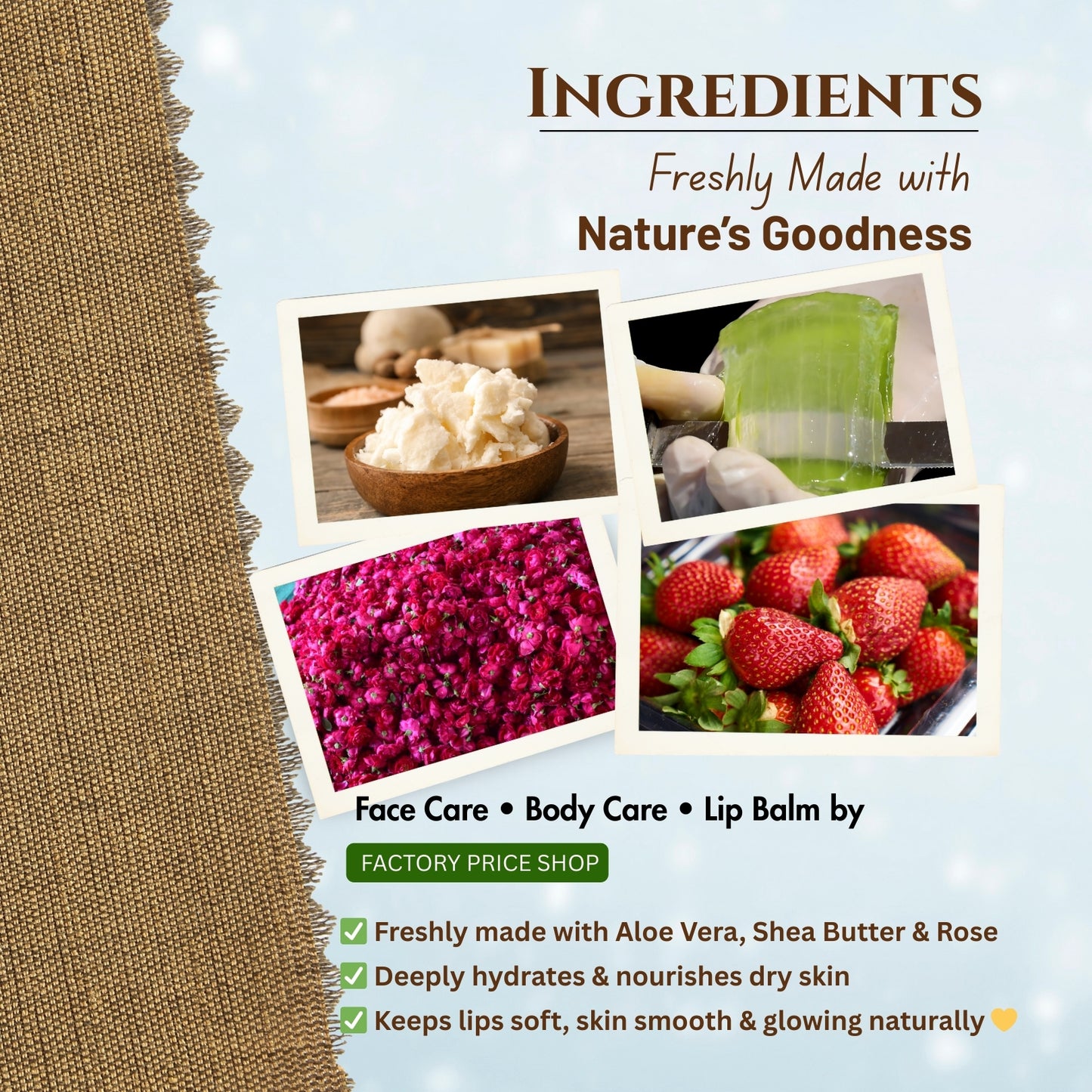 Complete Winter Care Combo