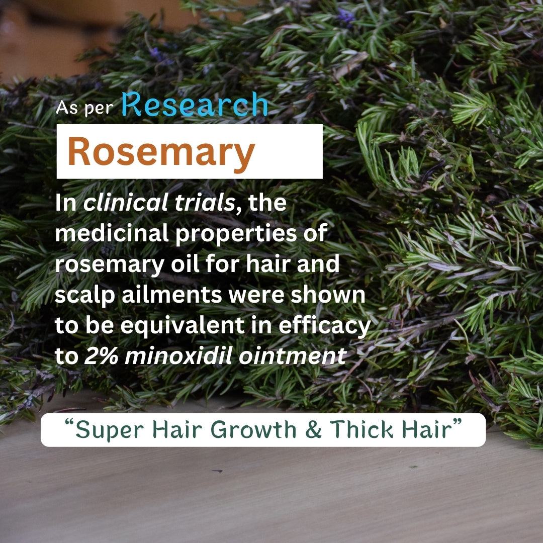 Rosemary Hair Revival Trio — Oil + Shampoo + Serum